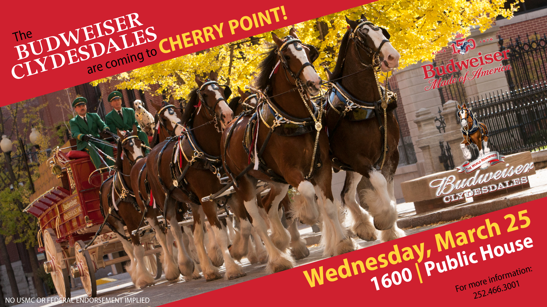 Youth Fitness (Ages 5-6)