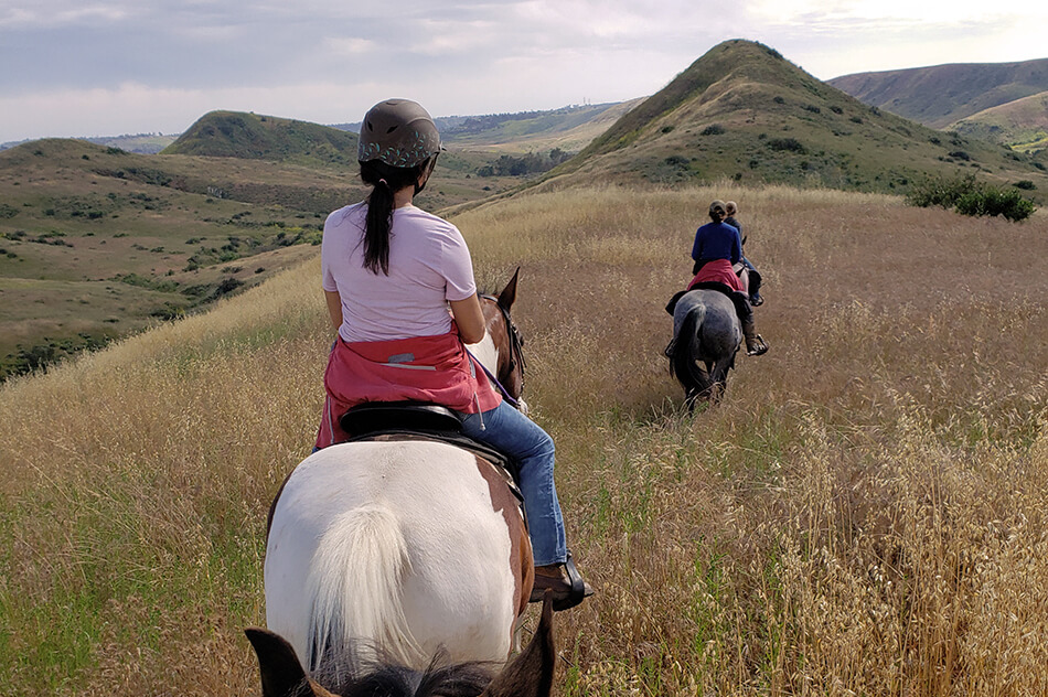 _stepp-stables_trail-ride_rolling-hills.jpg