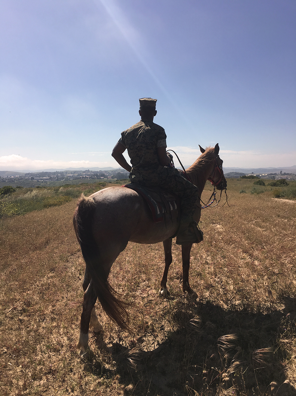 stepp-stables_trail-ride-marine-looking-at-horizon.jpg