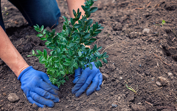 Youth Fitness (Ages 5-6)