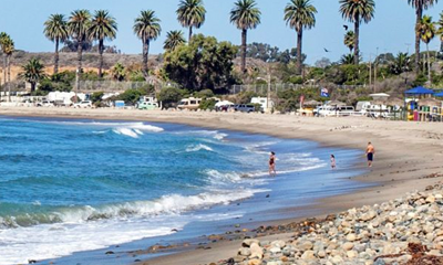Are Dogs Allowed on Del Mar Beach Camp Pendleton: The Ultimate Guide