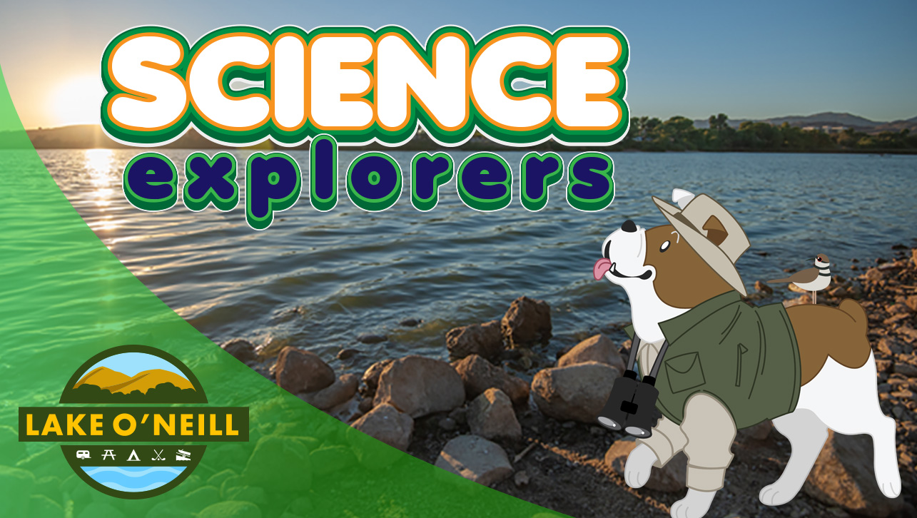 Science Explorers: The Amazing Benefits of Riparian Ecosystems