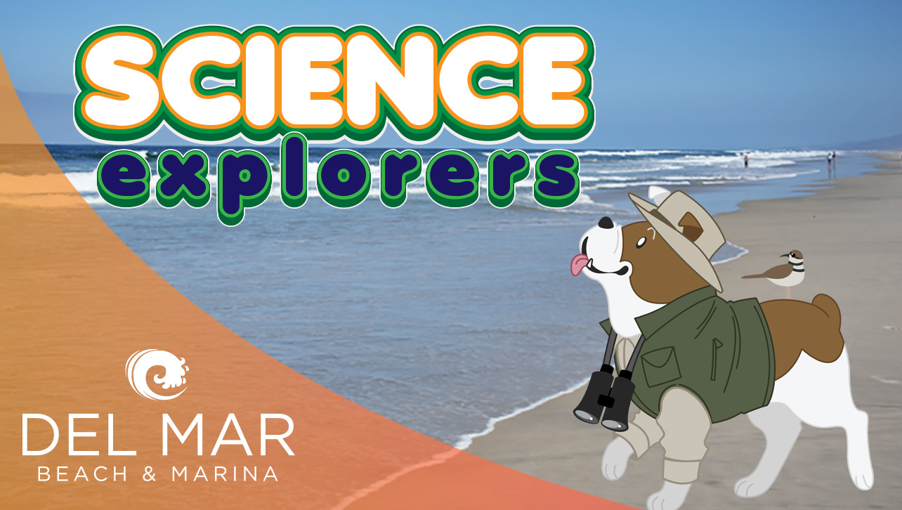 Science Explorers: How Dunes and Plants Help Us and the Birds