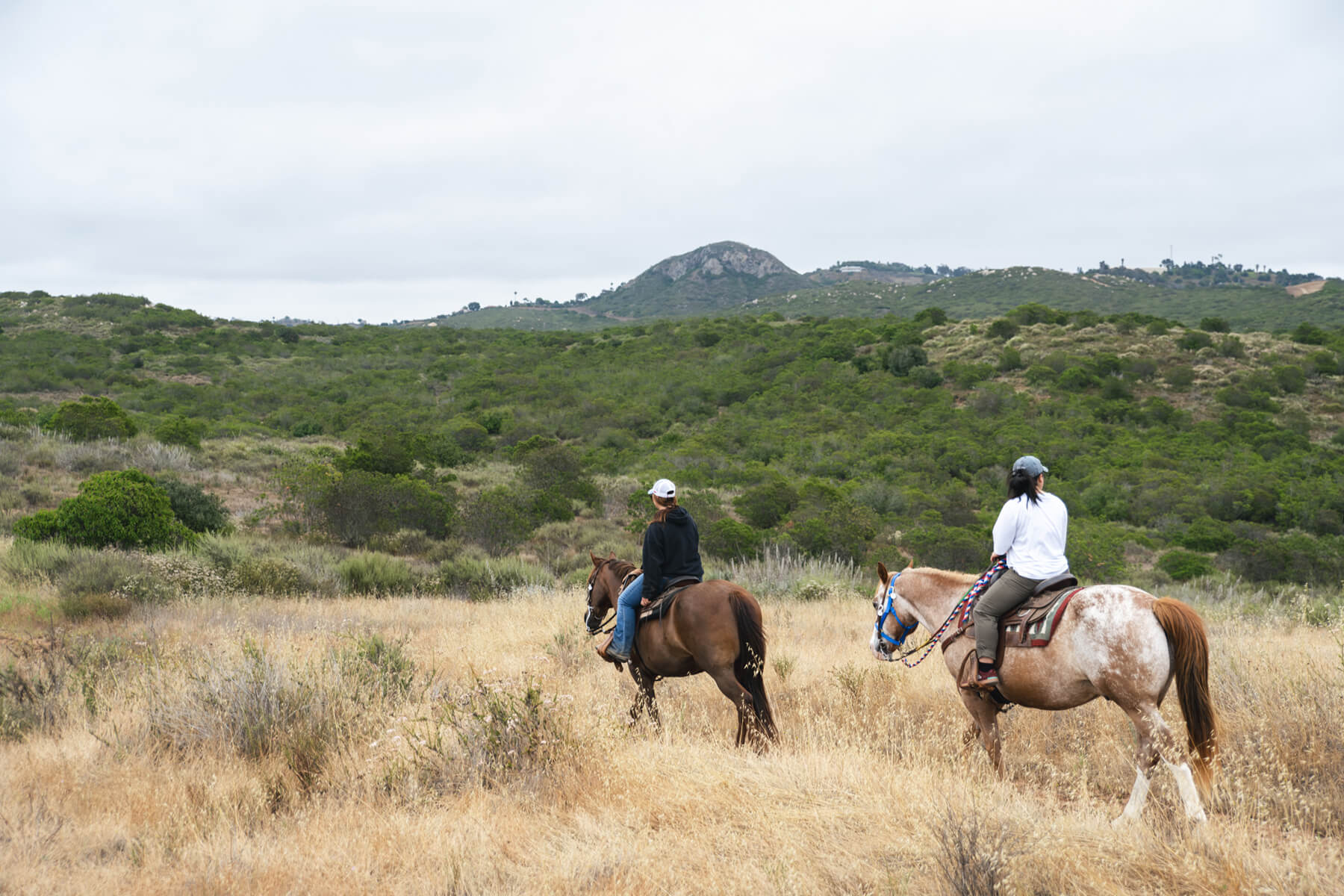 stepp-stables_trail-ride-hills.jpg
