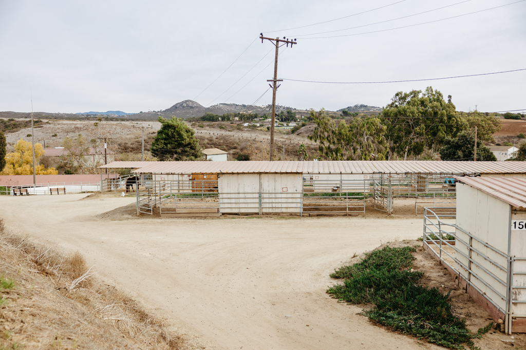 stepp-stables_boarding-area_b.jpg