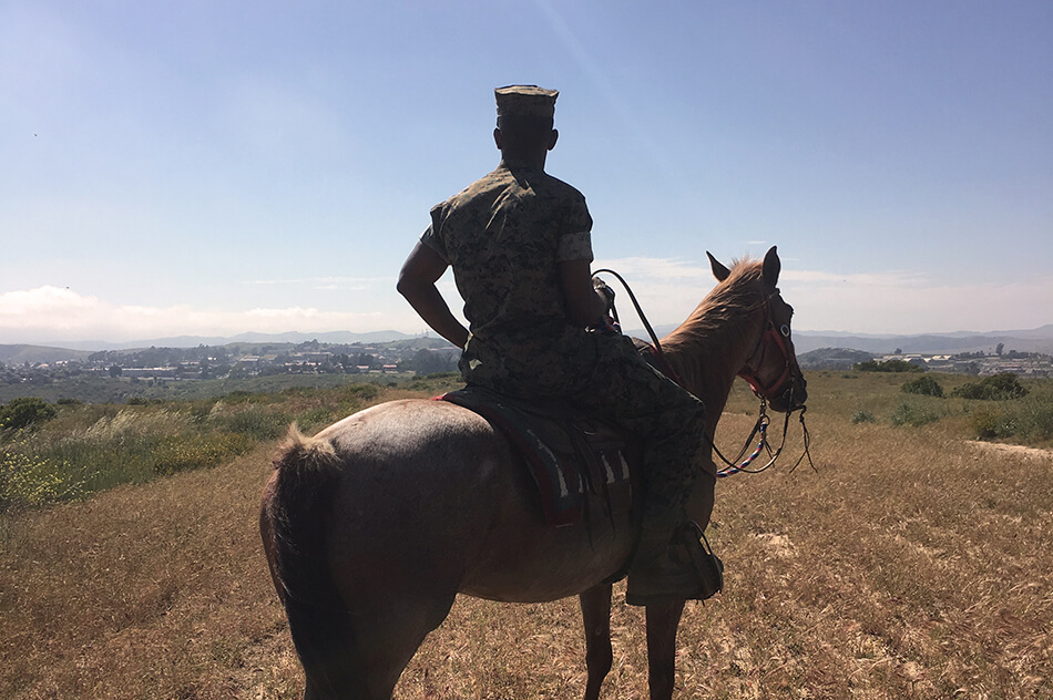 _stepp-stables_trail-ride_marine.jpg