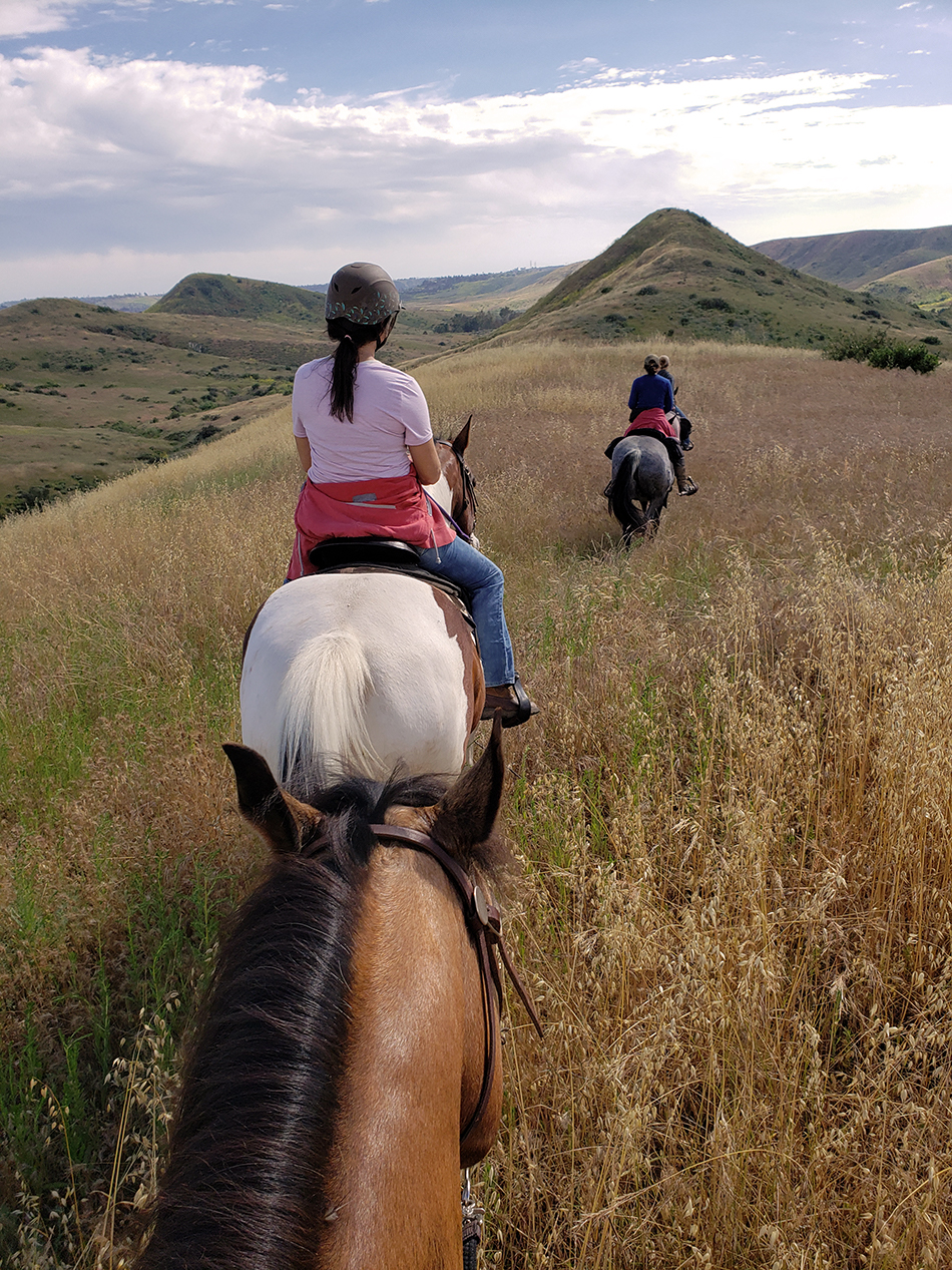 stepp-stables_group-trail-ride-rolling-hills.jpg